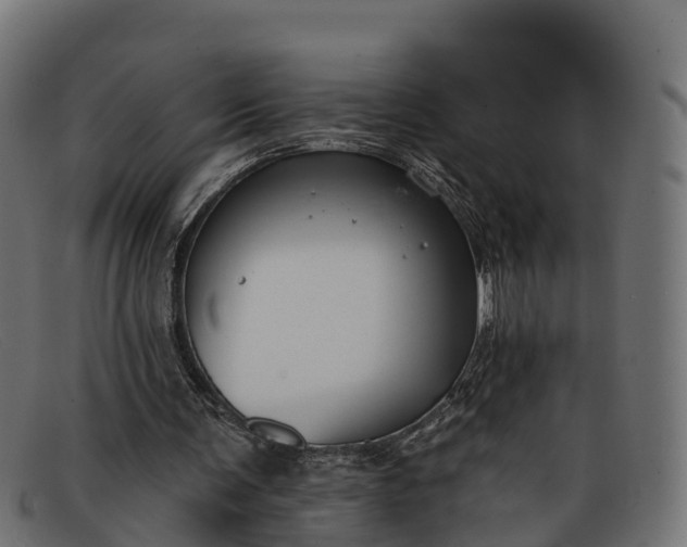 X0000091670291200709131533