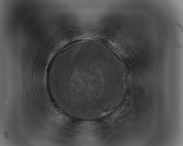 X0000091670292200709131533