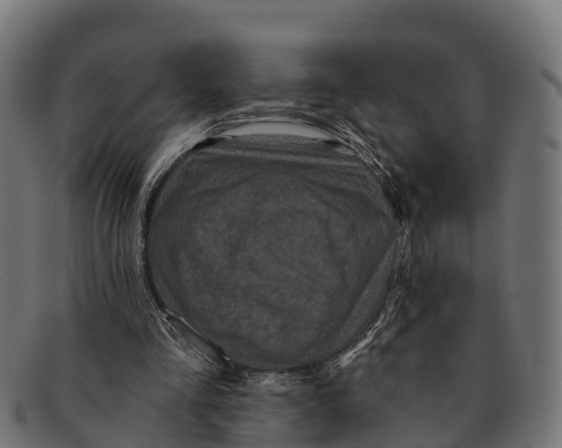 X0000091670293200709131533