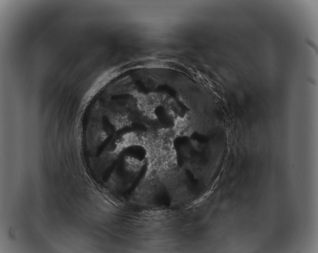 X0000091670295200709131533