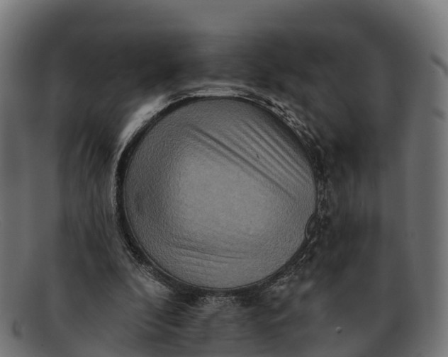 X0000091670296200709131533