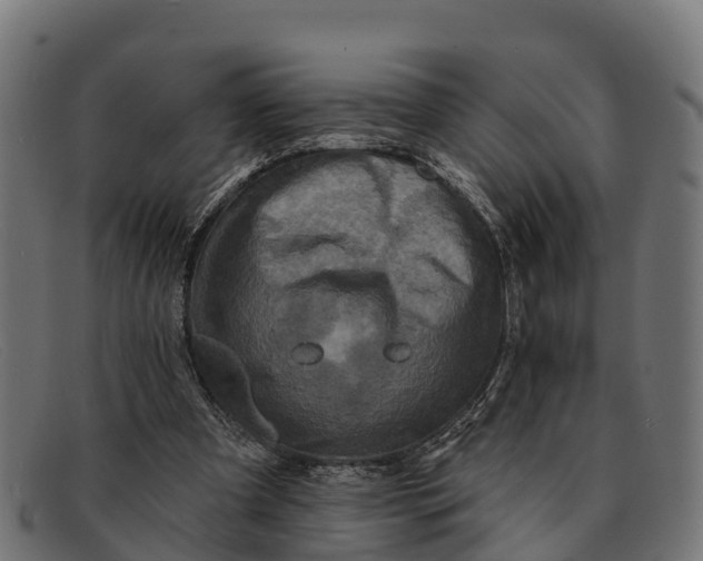 X0000091670297200709131533