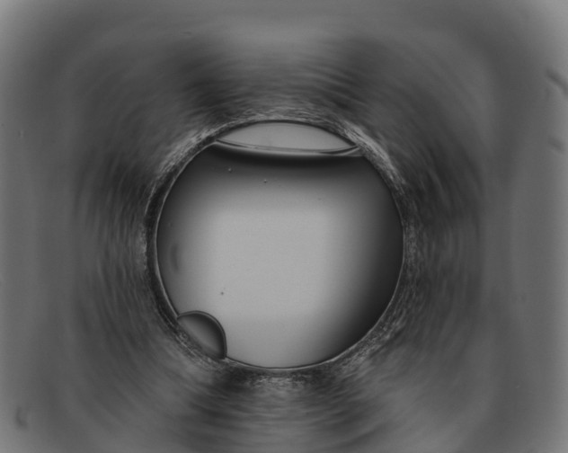 X0000091670298200709131533