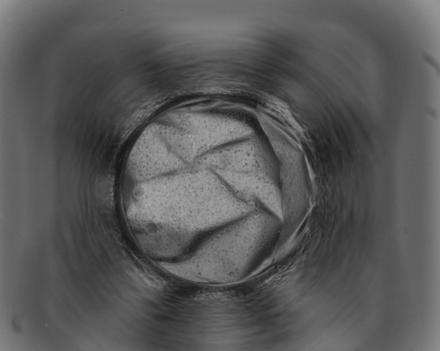 X0000091670299200709131533