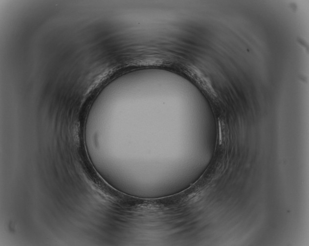 X0000091670300200709131533