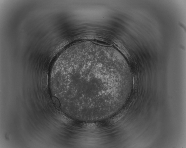 X0000091670301200709131533