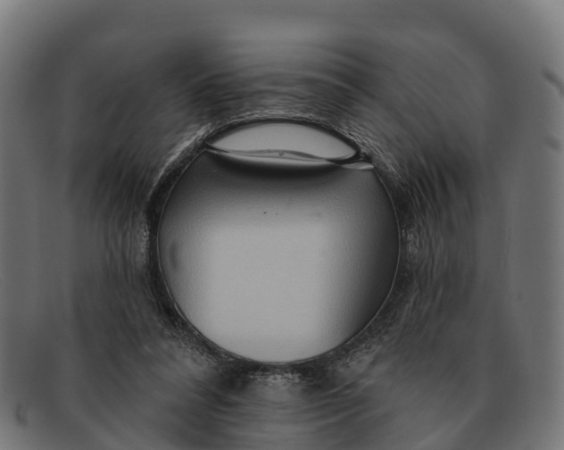 X0000091670304200709131533