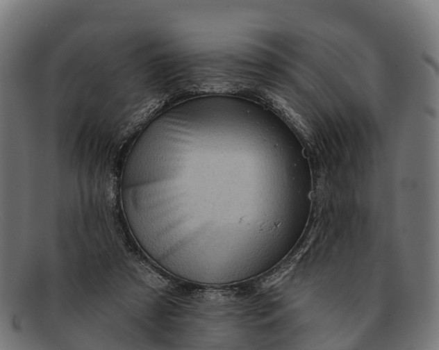 X0000091670305200709131533