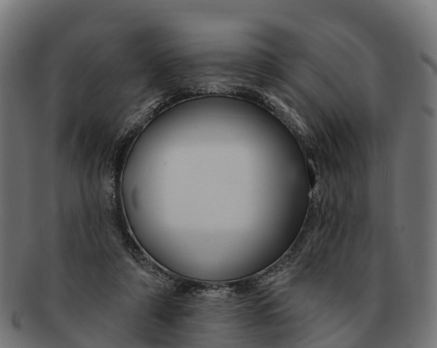 X0000091670306200709131533