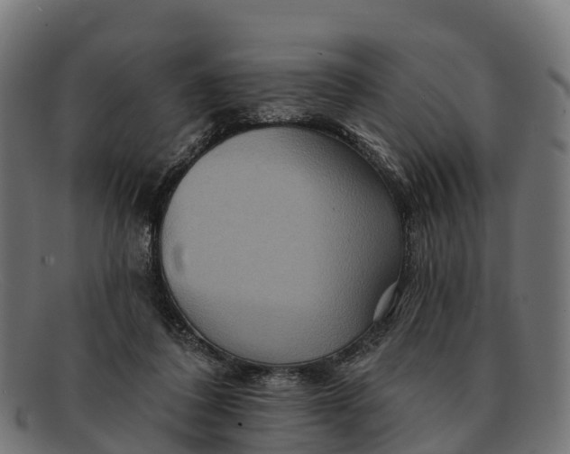 X0000091670308200709131533