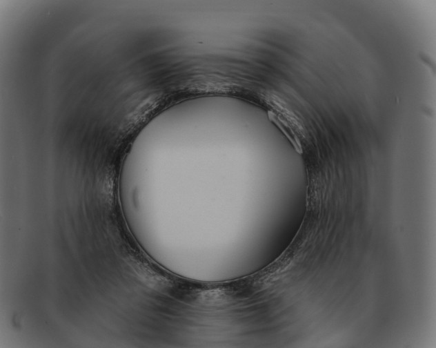 X0000091670309200709131533