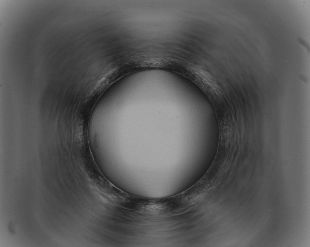 X0000091670312200709131533