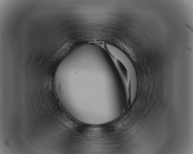 X0000091670313200709131533