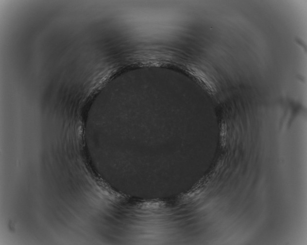 X0000091670314200709131533