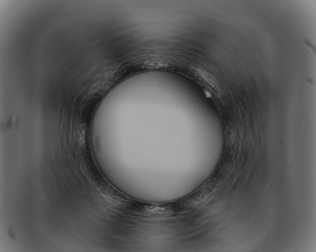 X0000091670315200709131533