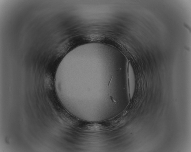 X0000091670316200709131533