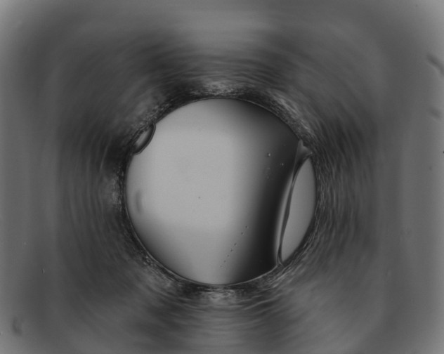 X0000091670317200709131533