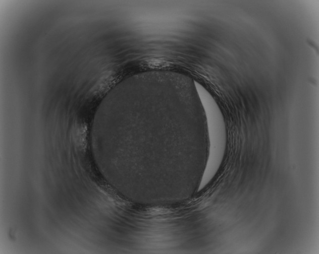 X0000091670319200709131533