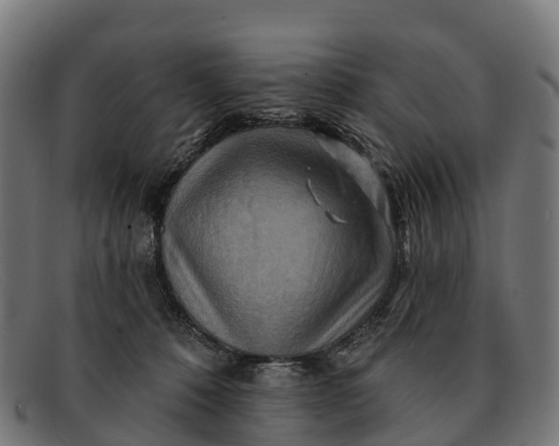 X0000091670320200709131533