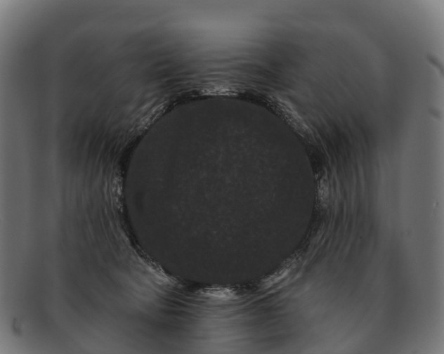 X0000091670322200709131533