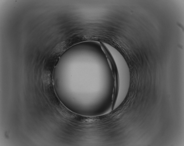 X0000091670323200709131533