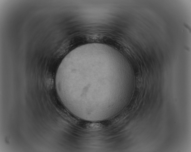 X0000091670324200709131533