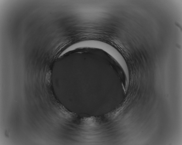 X0000091670325200709131533