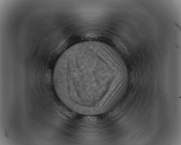 X0000091670328200709131533