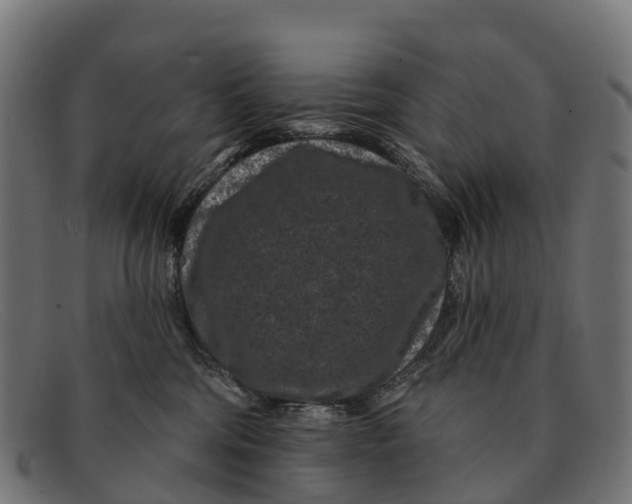 X0000091670330200709131533