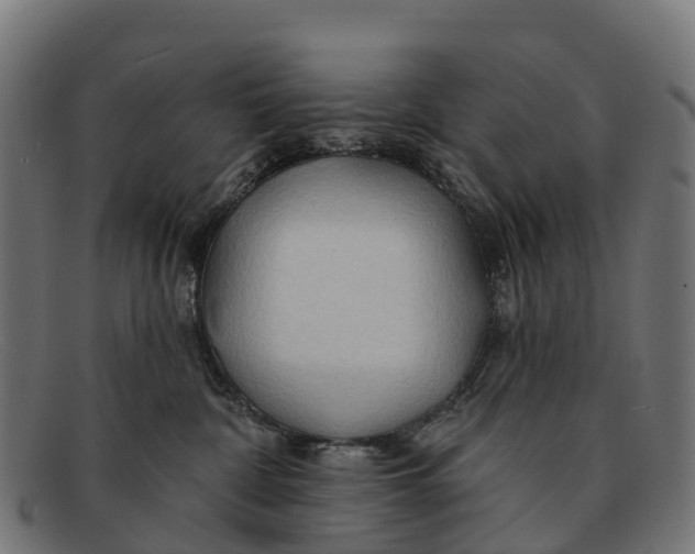 X0000091670332200709131533