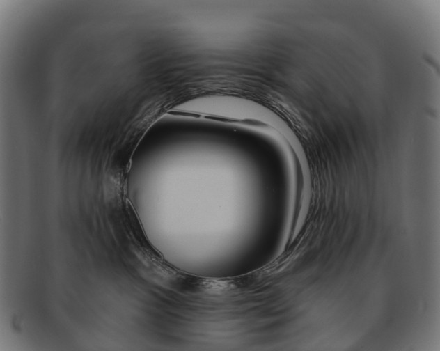 X0000091670333200709131533