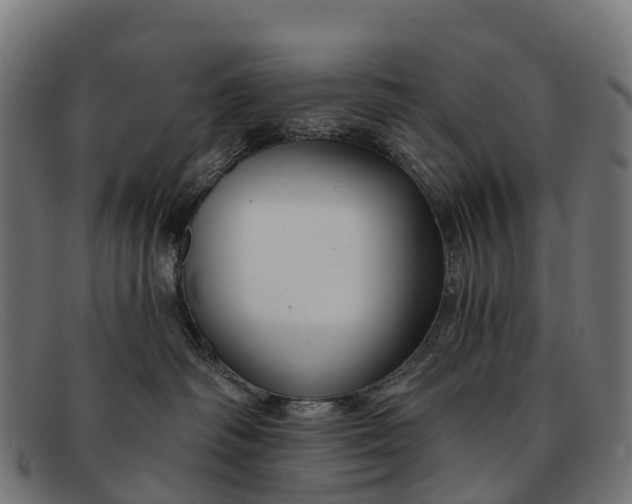 X0000091670334200709131533