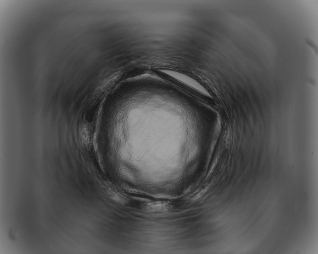 X0000091670335200709131533