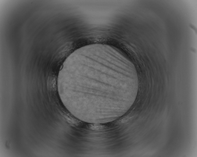 X0000091670336200709131533