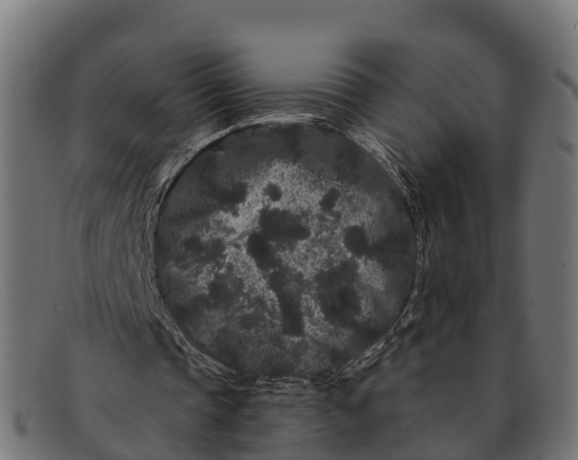 X0000091670337200709131532