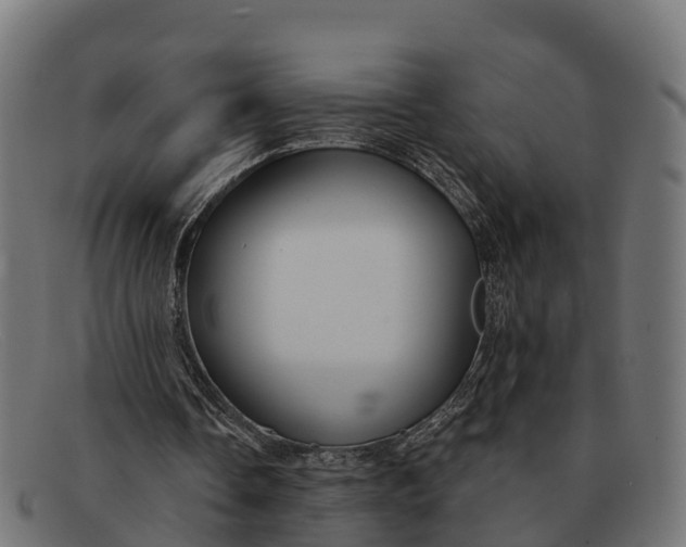 X0000091670338200709131532