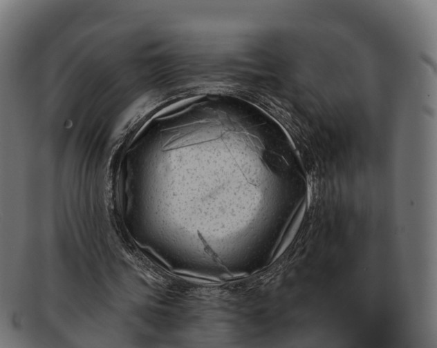 X0000091670339200709131532