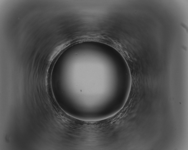 X0000091670340200709131532