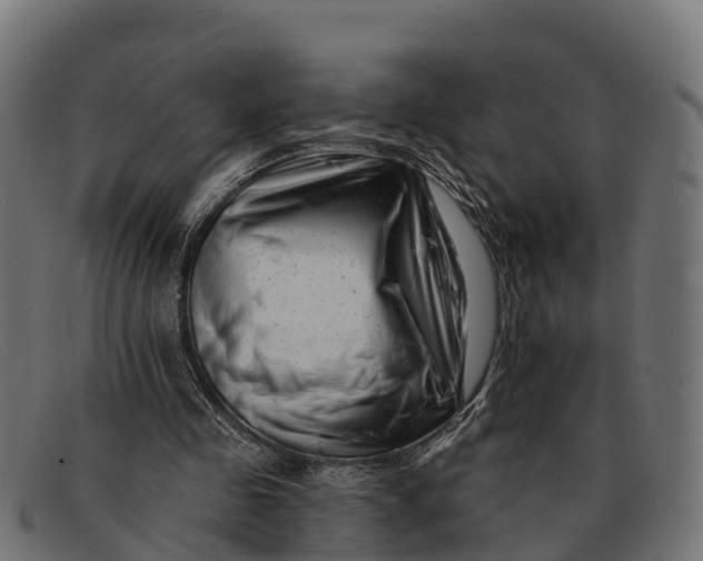 X0000091670341200709131532