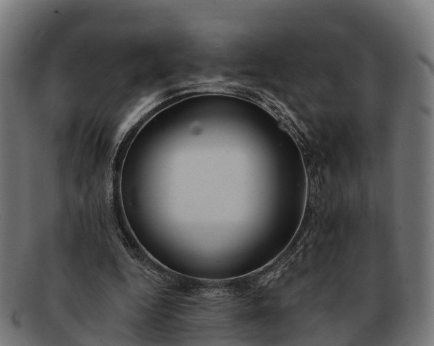 X0000091670344200709131532