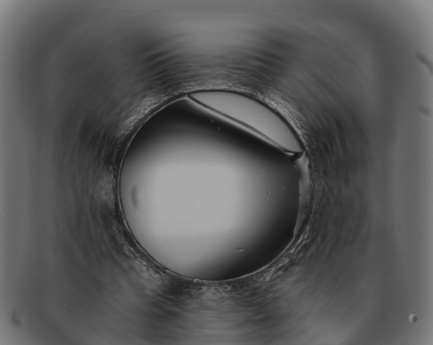 X0000091670345200709131532