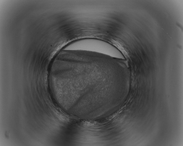 X0000091670346200709131532