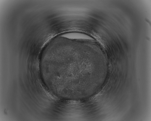 X0000091670347200709131532