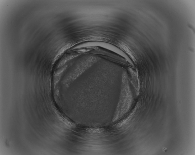 X0000091670349200709131532