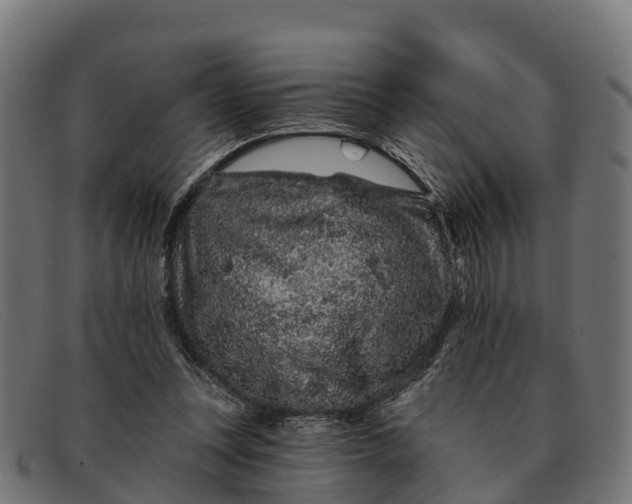 X0000091670351200709131533