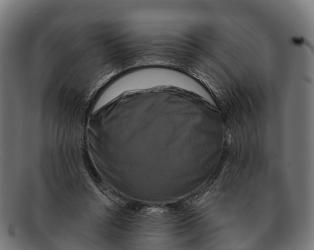 X0000091670352200709131533