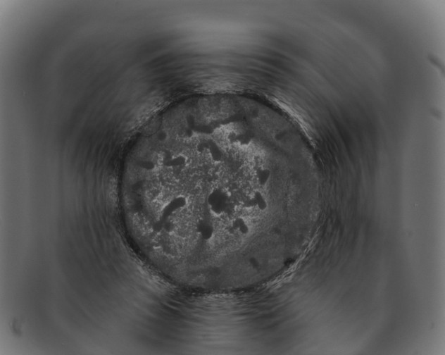 X0000091670353200709131533