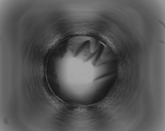 X0000091670354200709131533