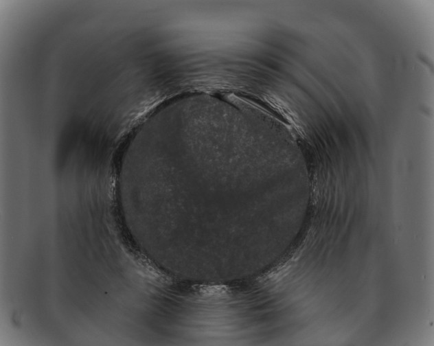 X0000091670355200709131533