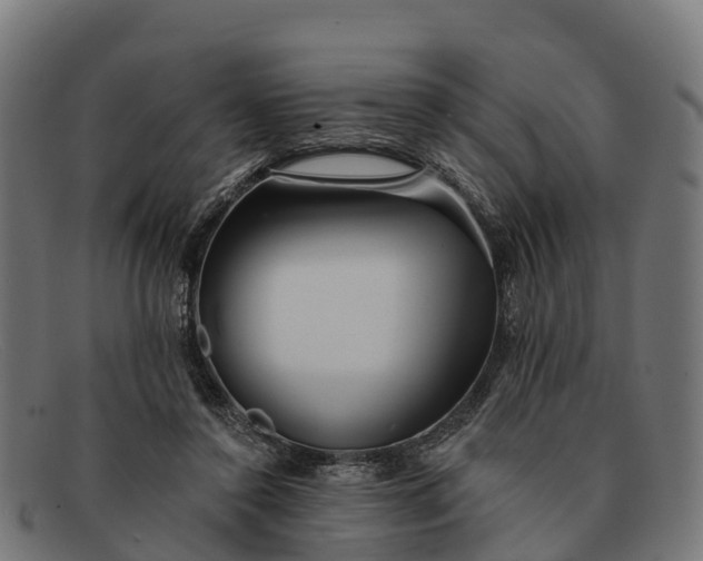 X0000091670356200709131533